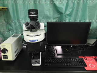 正置荧光显微镜